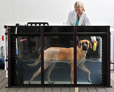 Campral Rehab Treatment ClinicMedina WI